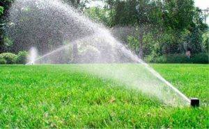 Uso racional del agua potable en la ciudad de Villa Elisa