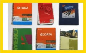 A 4 días de las elecciones aparecieron los cuadernos de Centeno