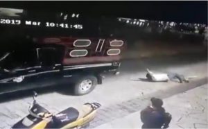 Ataron a un alcalde a una camioneta y lo arrastraron