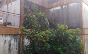 Un niño de 3 años habría caído al vacío y posteriormente falleció