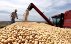 ¿Suben o bajan las retenciones para cada producto?