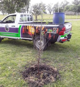 Se puso en marcha una campaña de plantación de árboles frutales en Ubajay