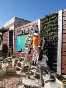 Avanza el jardín vertical en la Terminal de Ómnibus de Villa Elisa