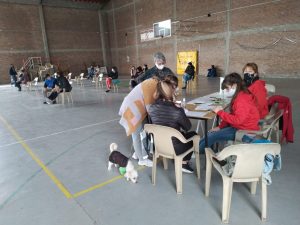 Alrededor de 100 mascotas fueron esterilizadas durante el fin de semana en Villa Elisa