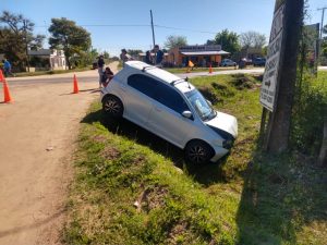 Despiste de automóvil en ruta 130, acceso a los troncos petrificados
