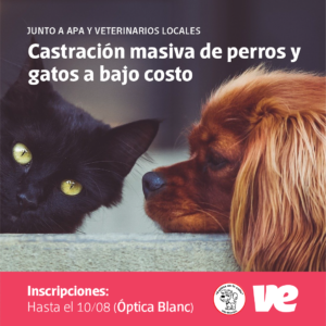 Castración masiva de perros y gatos a bajo costo en Villa Elisa