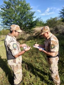 Brigada Colón secuestra plantines de cannabis sativa durante un procedimiento por ley de pesca
