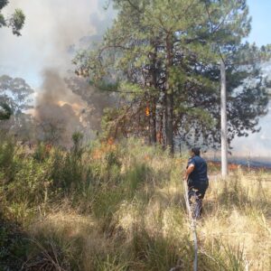 Incendio en zona rural del ejido Colón ( ruta 135 detrás de escuela Nro. 4 )