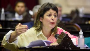 No estamos en contra de la Corte, la defendemos como institución expresó Carolina Gaillard