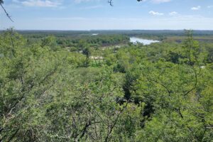 Entre Ríos prorrogó la emergencia ambiental en la provincia