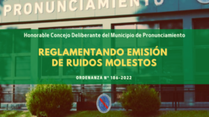 REGLAMENTO SOBRE RUIDOS MOLESTOS EN PRONUNCIAMIENTO
