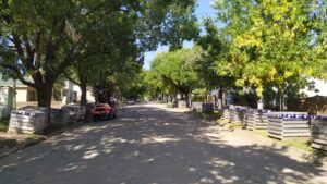 Inicia una obra de pavimento articulado en calle San Martín de Villa Elisa