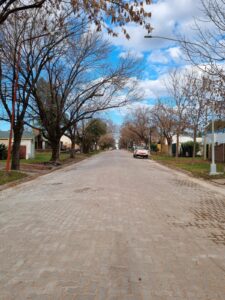 Finalizó el recambio de adoquines en dos cuadras de calle San Martín En Villa Elisa