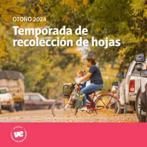 Comienza la etapa de recolección de hojas en Villa Elisa