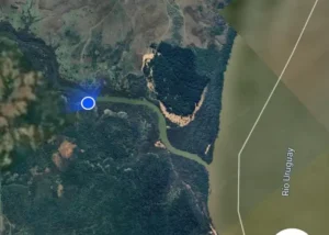 Hallazgo de restos óseos en el Parque Nacional El Palmar.