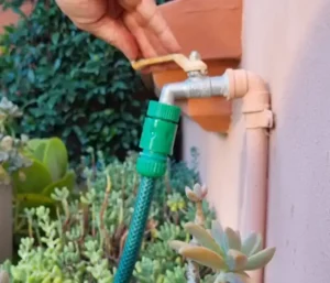 Horarios permitidos para el riego y lavado de veredas en Villa Elisa
