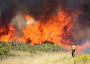 Nación propone agravar la pena a quienes provoquen incendios