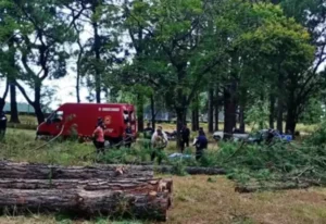 Trágico accidente laboral: murió un operario cuando podaba árboles