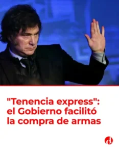 «Tenencia express»: el gobierno de Milei facilitó la compra de armas