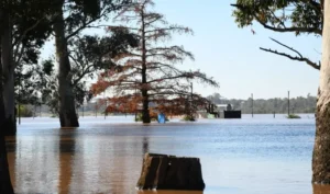 Crecida del Río Uruguay: siete familias dejaron sus hogares en Concordia