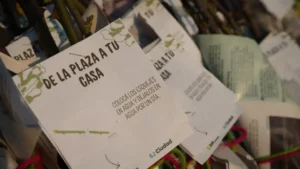 Entrega de esquejes de rosas en El Brillante