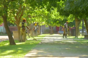 Mantenimiento de los espacios verdes elisenses