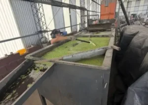 Impulsan el reciclado en la ciudad de San José: destacan el trabajo y la innovación de la Recicladora Cielo Compartido