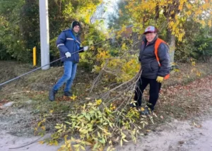 San José: Comenzó la temporada de podas del arbolado urbano en la ciudad