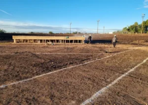 Villa Elisa: Se comenzaron a construir las veredas en la zona del nuevo anfiteatro