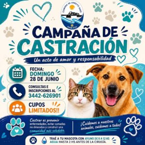 CAMPAÑA DE CASTRACIÓN EN ARROYO BARÚ
