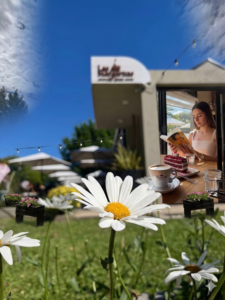 Así se disfrutan las tardes otoñales del finde largo en Termas Villa Elisa