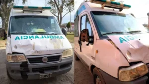 Ibicuy: una ambulancia chocó un caballo en la ruta