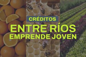 Abren la convocatoria de Entre Ríos Emprende Joven
