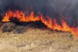 Multan por quemas ilegales en un campo de Entre Ríos