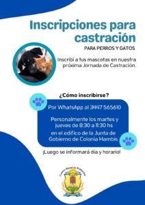 Abren inscripciones para castración de mascotas en Hambis